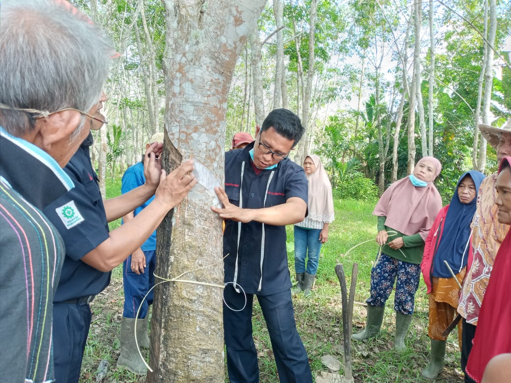 Conducting Needs and Risks assessments on May