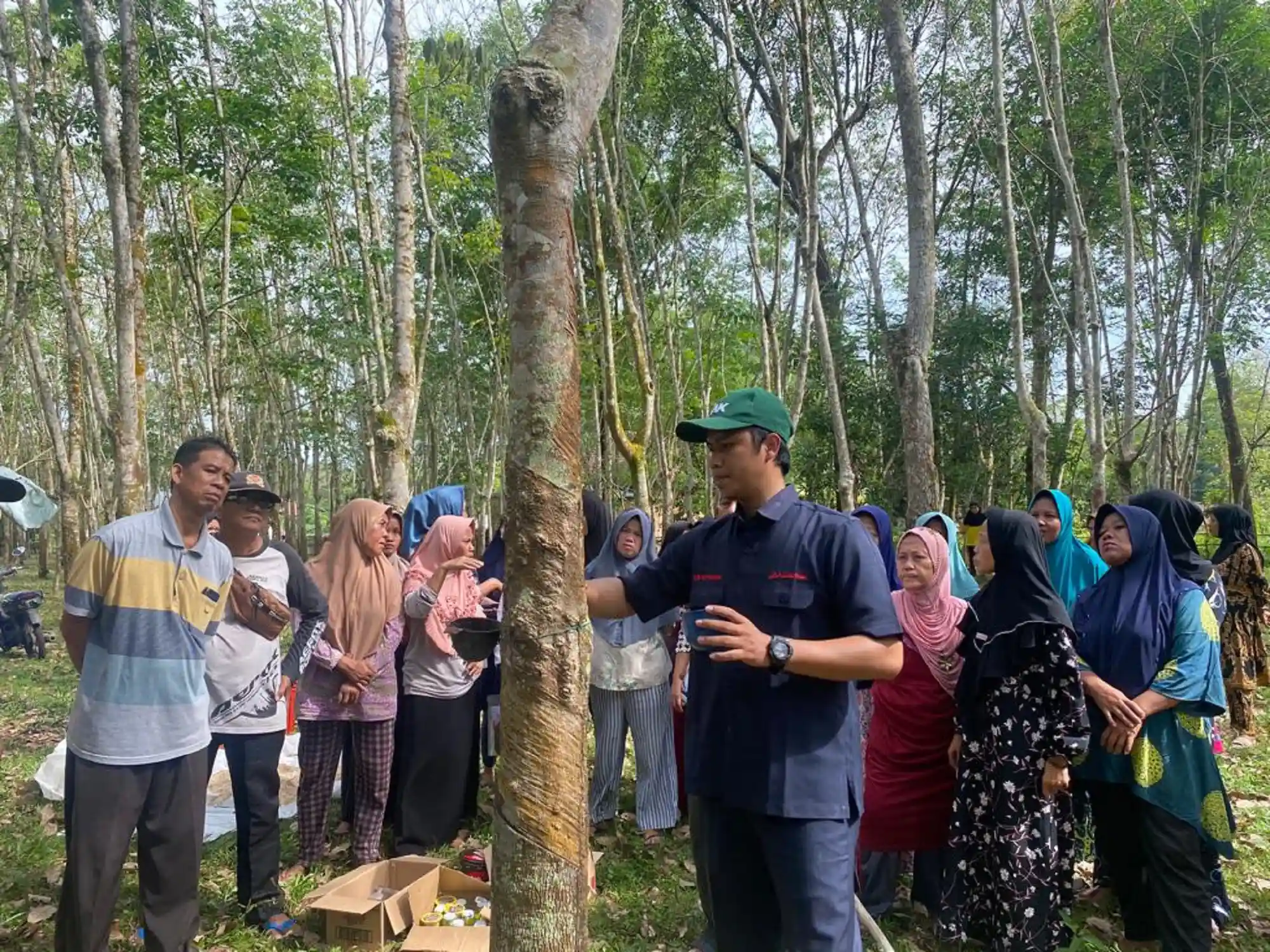 PROJECT TREE Sustainability Activity Quarterly Report (April to June 2023)