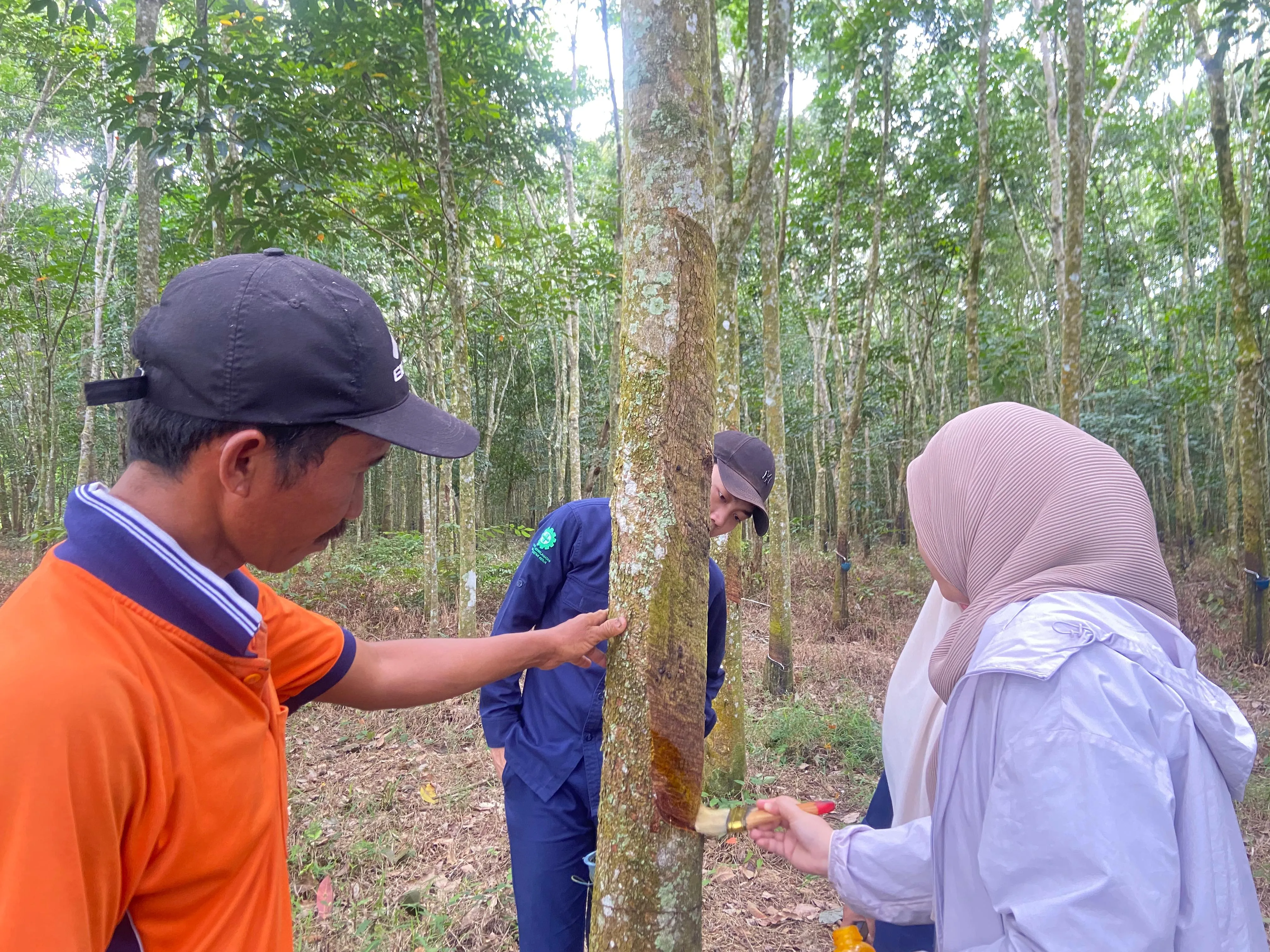 PROJECT TREE Sustainability Activity Quarterly Report (July - September 2024)