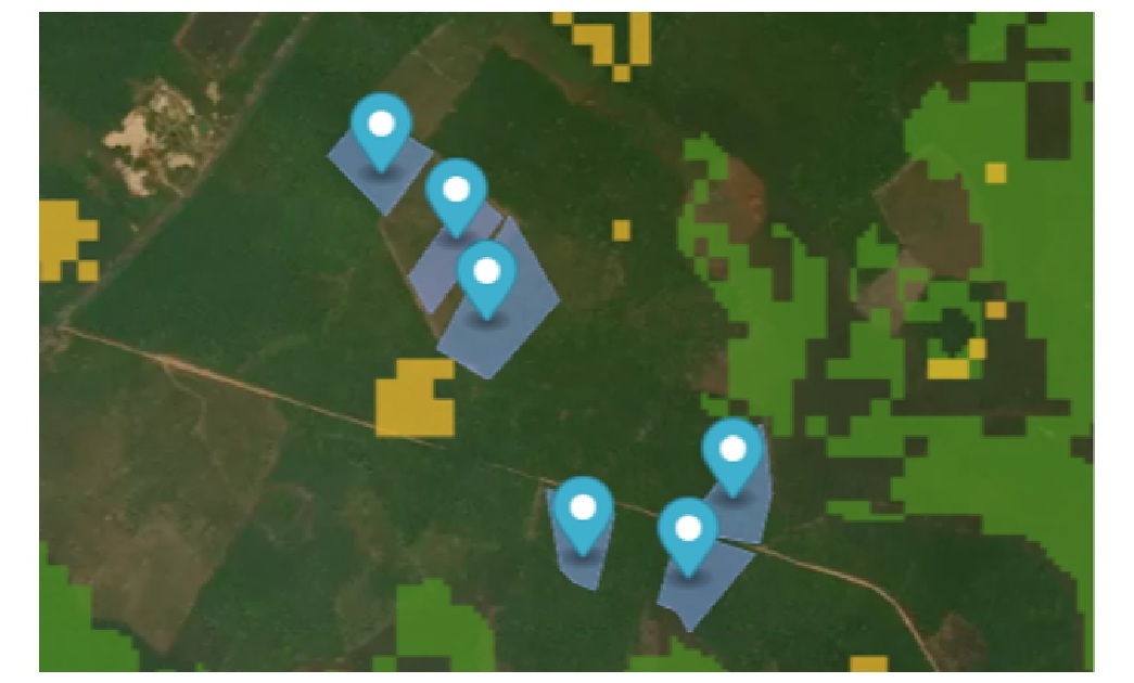 Launching PT PROJECT TREE INDONESIA, a Sustainability Service Company