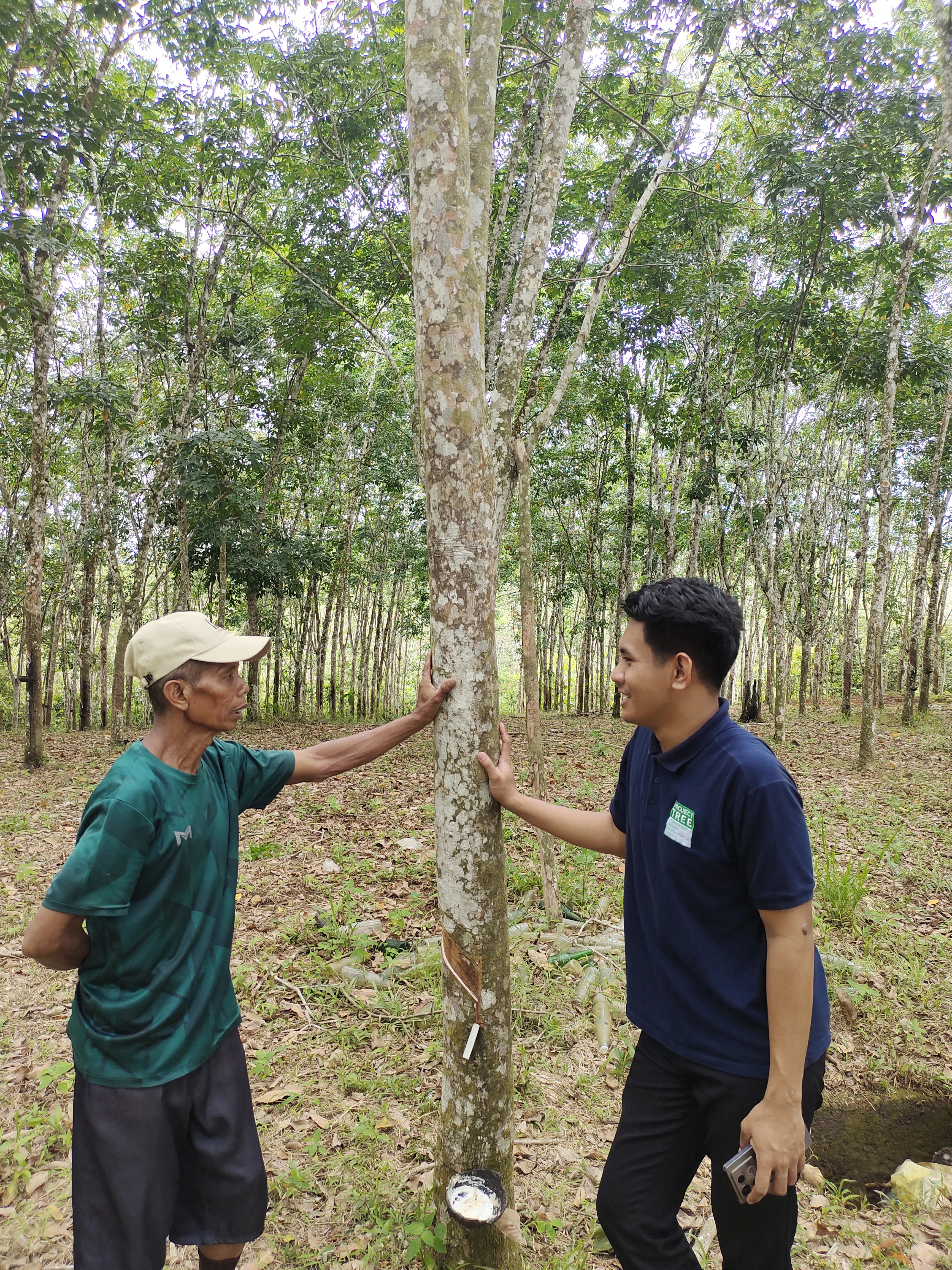 PROJECT TREE Sustainability Activity Quarterly Report (October – December 2025)