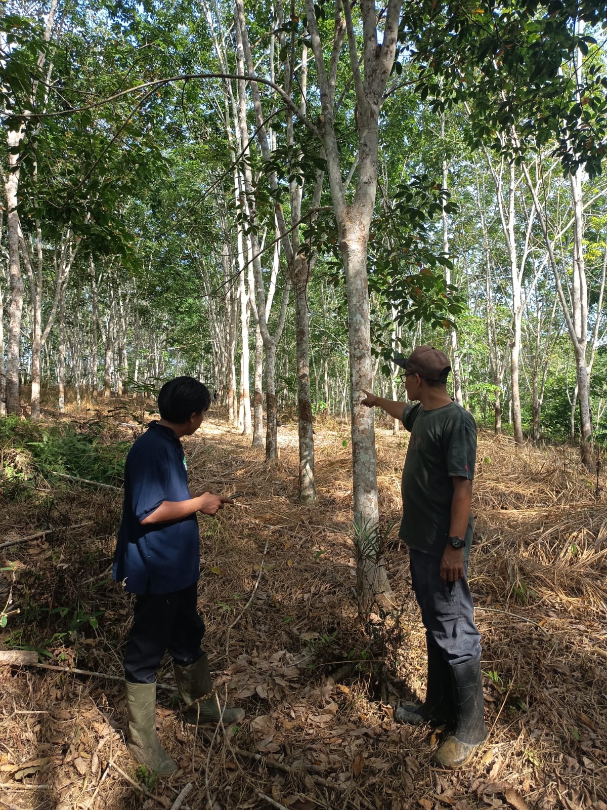 PROJECT TREE Sustainability Activity Quarterly Report (October – December 2025)