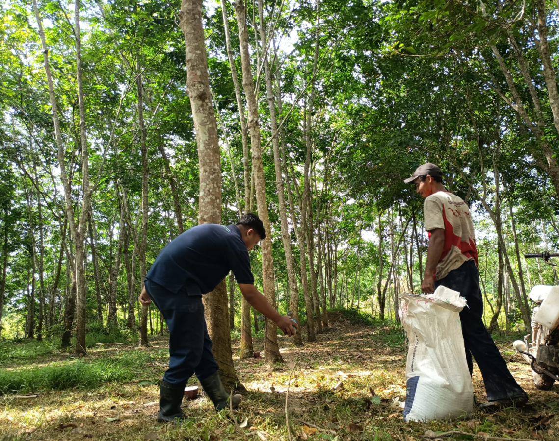 PROJECT TREE Sustainability Activity Quarterly Report (October – December 2025)