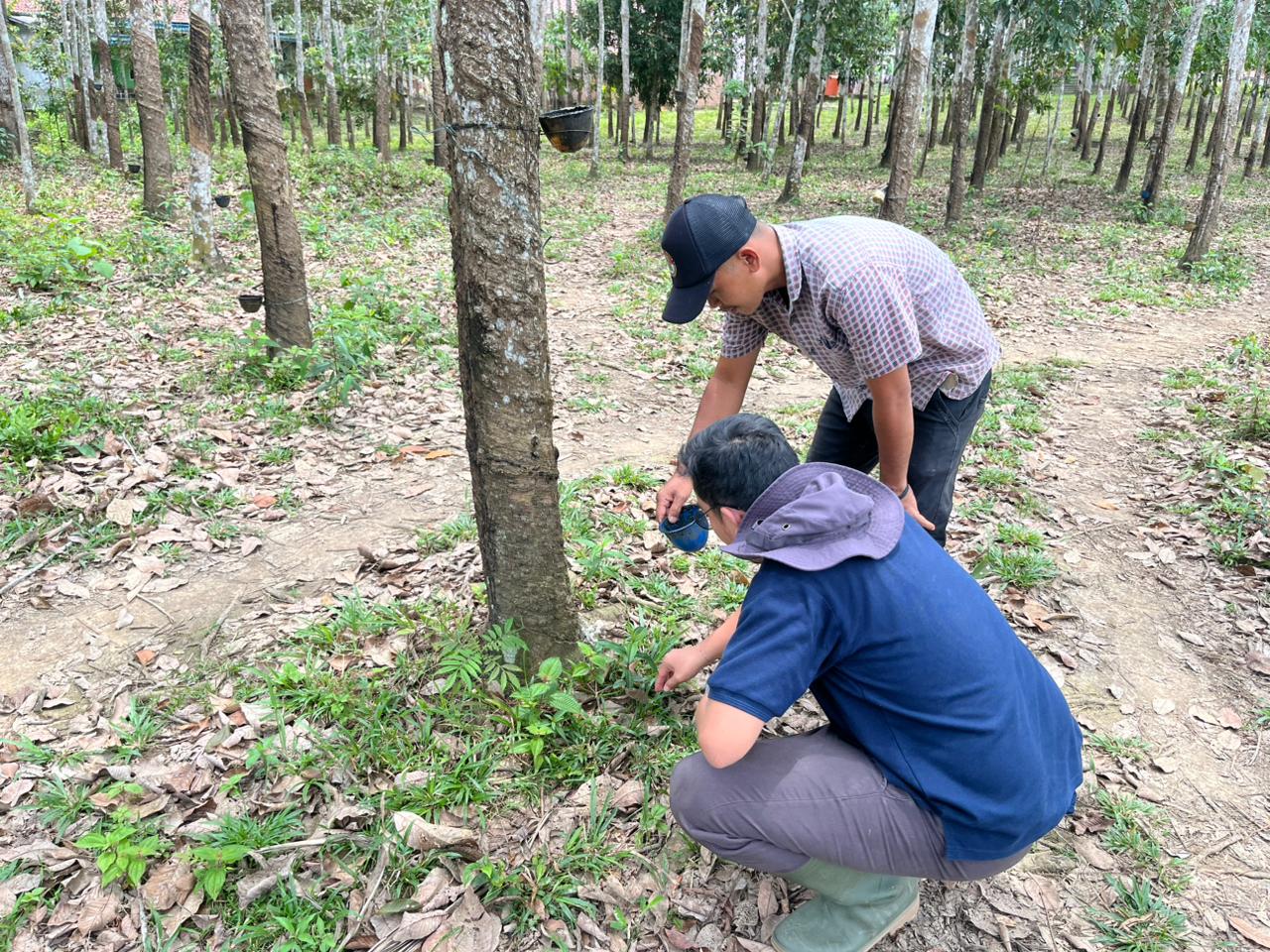 Activity Report