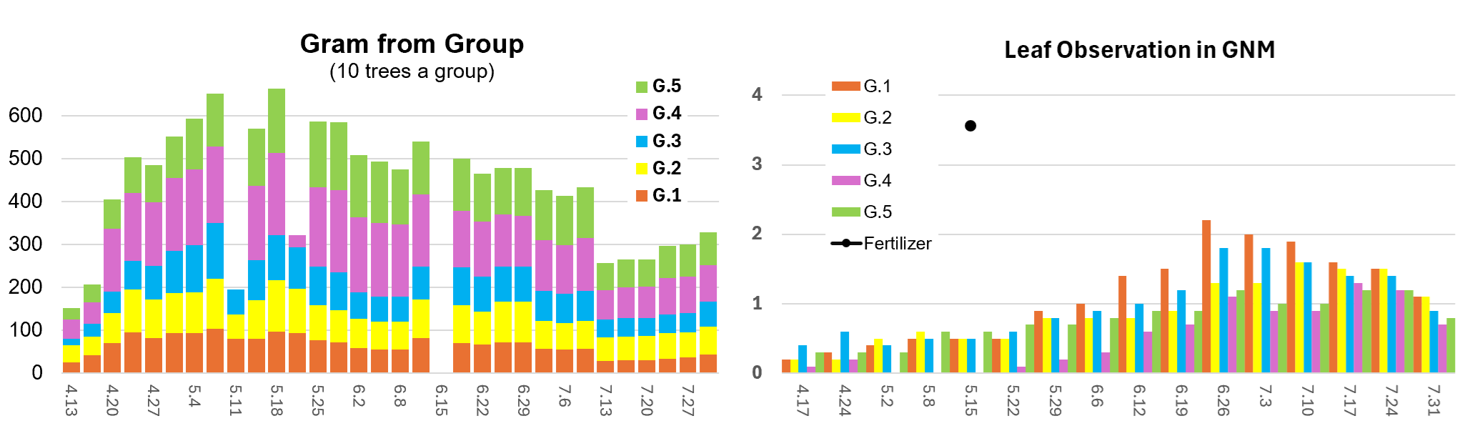 Graphic
