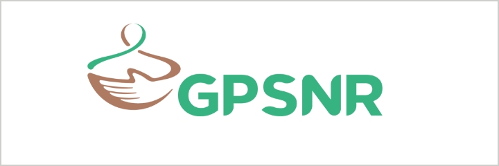 GPSNR logo