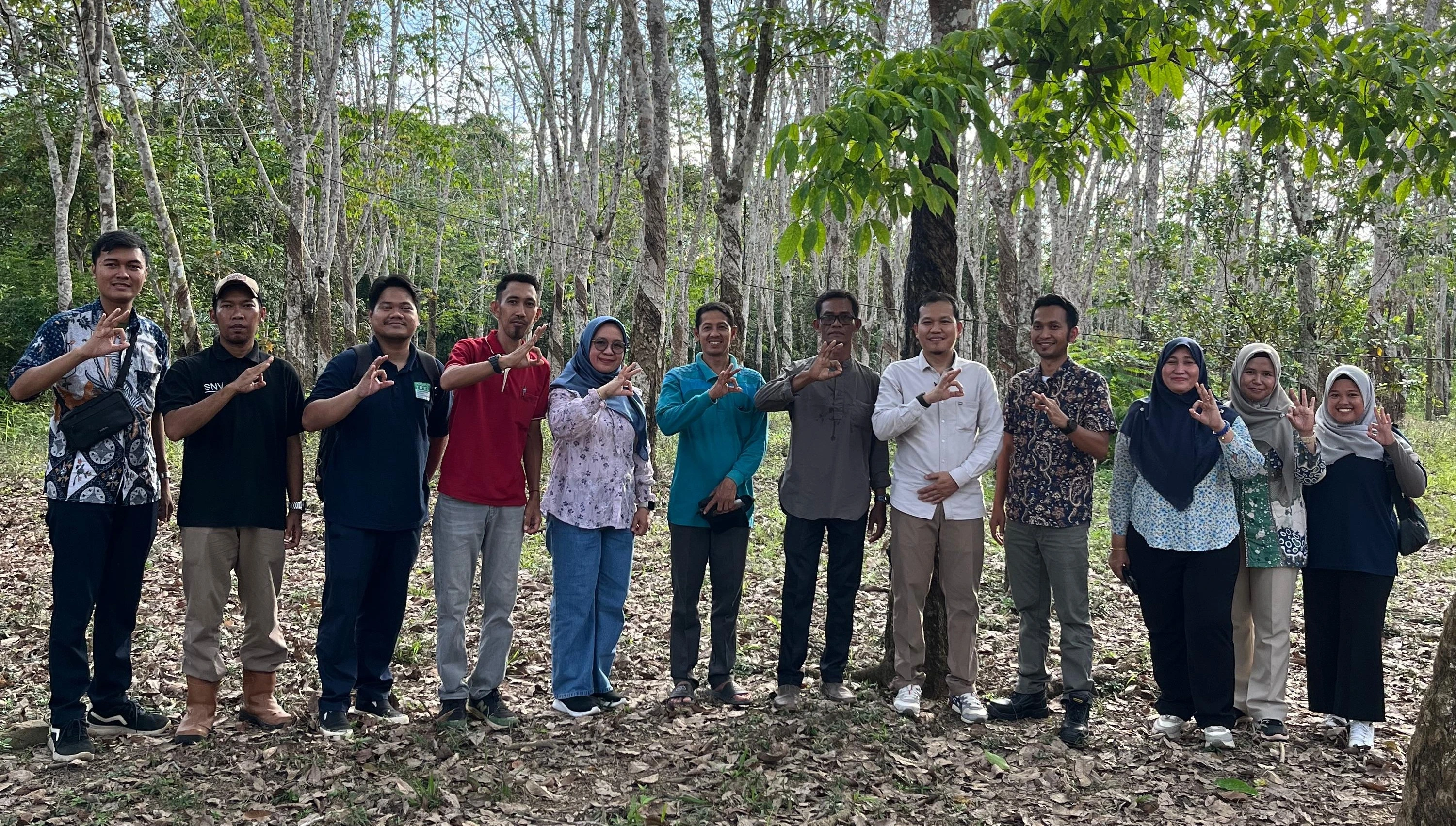 Activity Report