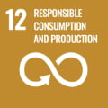 SDGs No.12 icon