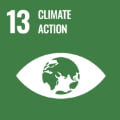 SDGs No.13 icon