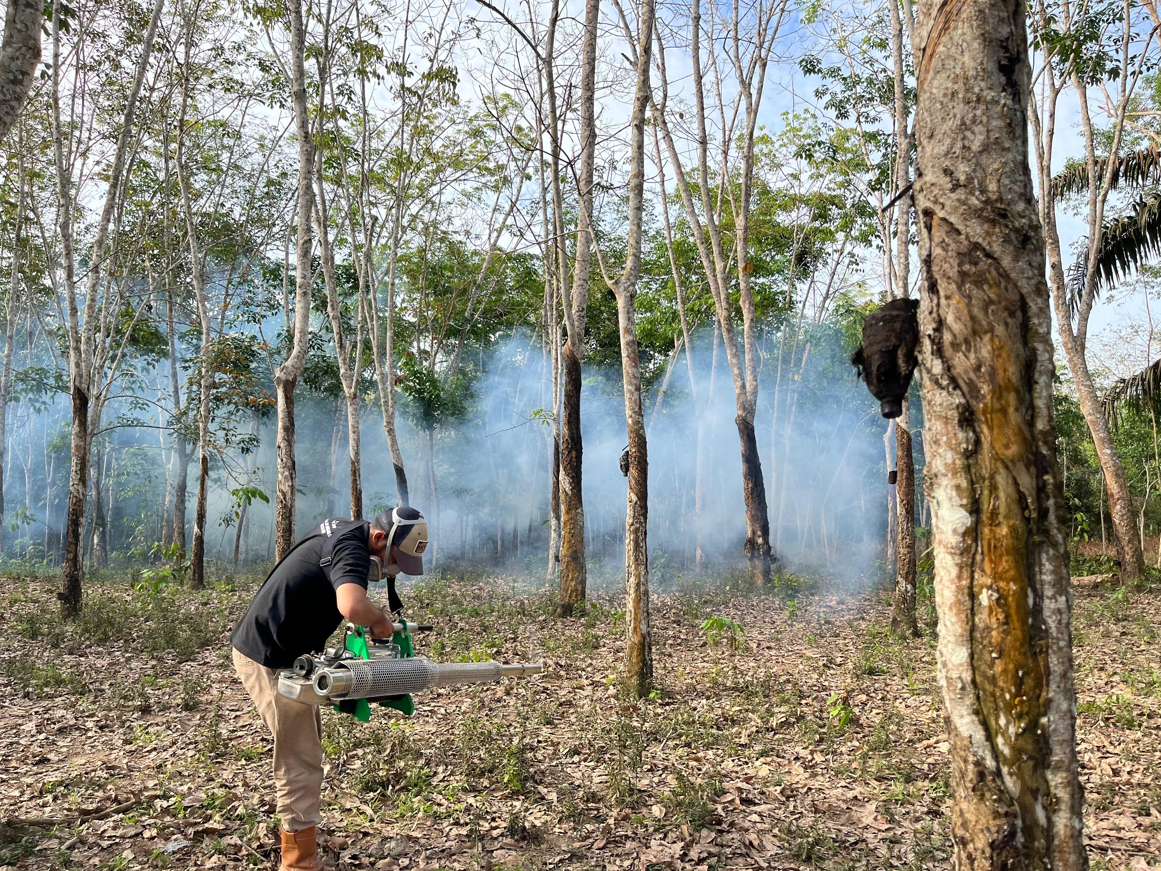 PROJECT TREE/理化学研究所/インドネシアゴム研究所との連携 – 葉枯れ病対策の霧状噴霧処理(2025年9月)