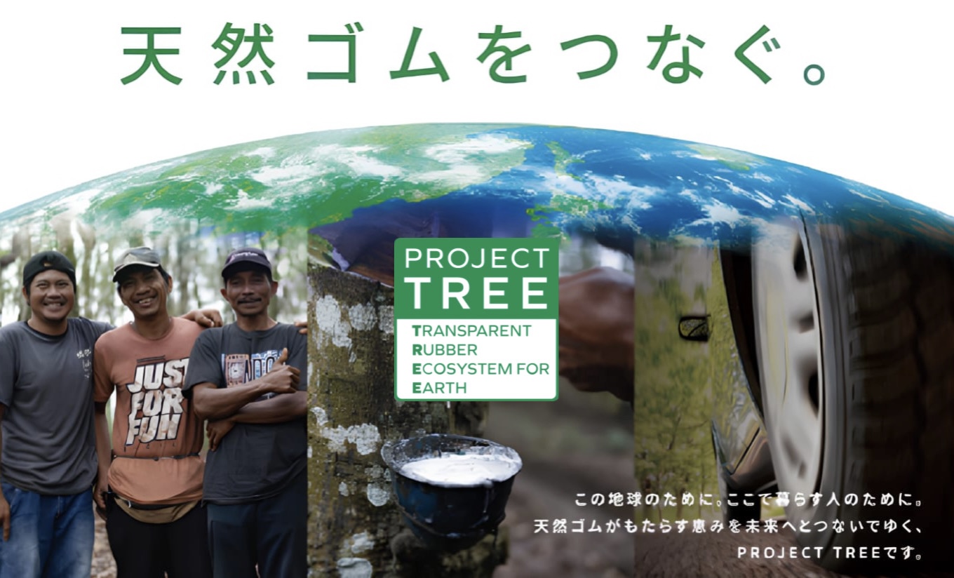 Launching PT PROJECT TREE INDONESIA, a Sustainability Service Company